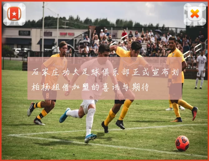 石家庄功夫足球俱乐部正式宣布刘柏杨租借加盟的喜讯与期待