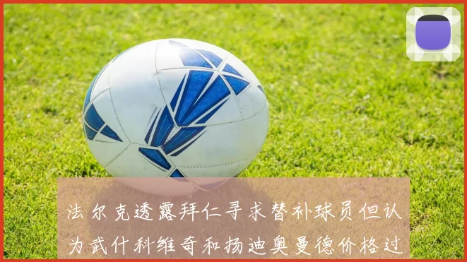 法尔克透露拜仁寻求替补球员但认为武什科维奇和扬迪奥曼德价格过高