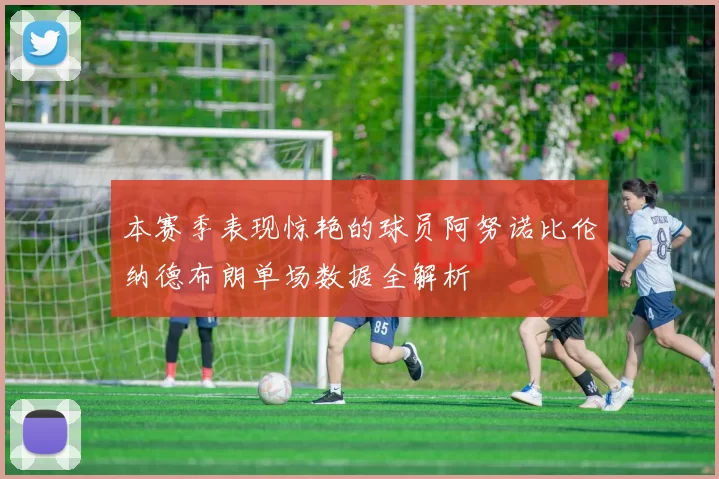 本赛季表现惊艳的球员阿努诺比伦纳德布朗单场数据全解析